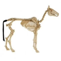 Halloween Yard Decor Home Accents Holiday 4 Ft. LED Skeleton Pony