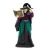 Halloween Yard Decor Home Accents Holiday 7 Ft. Animated Book Witch