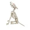 Halloween Props Home Accents Holiday 2.5 Ft Animated LED Howling Skeleton Wolf