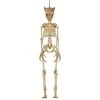 Home Accents Holiday 3 Ft. LED Hanging Wolf Skeleton Halloween Props