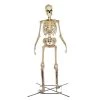 Home Accents Holiday 12 Ft. Giant-Sized Skeleton With LifeEyes Halloween Yard Decor