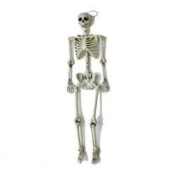 Worth Imports 60 In. Halloween Life Size Hanging Skeleton